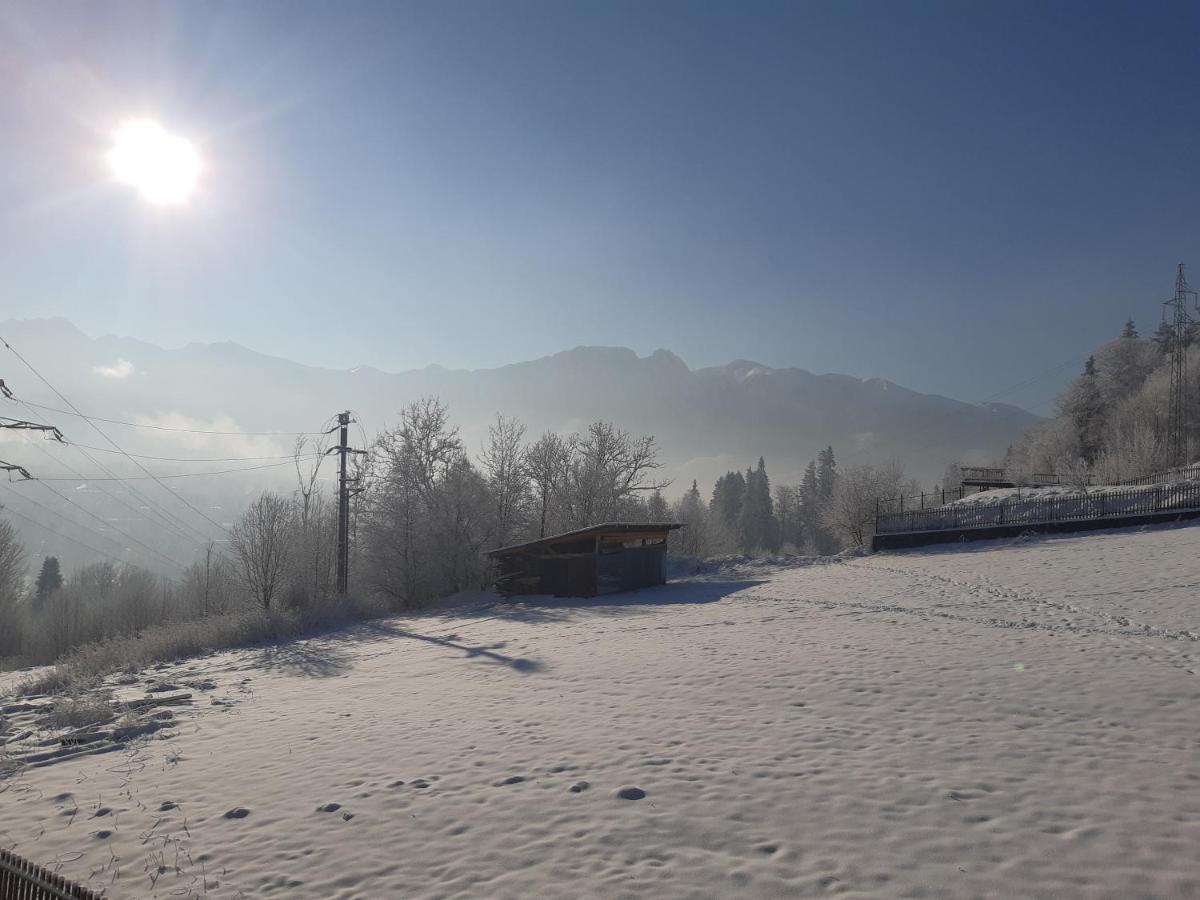 Willa Balamutka Zakopane Buitenkant foto